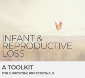 an image of an orange butterfly flying into a field is under the words infant and reproductive loss: a toolkit for supporting professionals